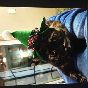 Meet your Posher, Malgorzata